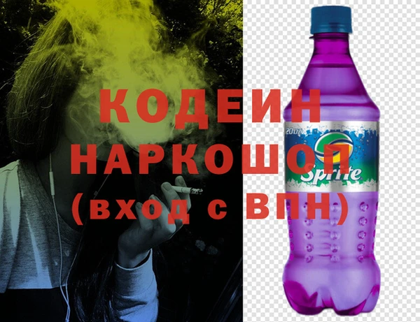 прущие грибы Алзамай