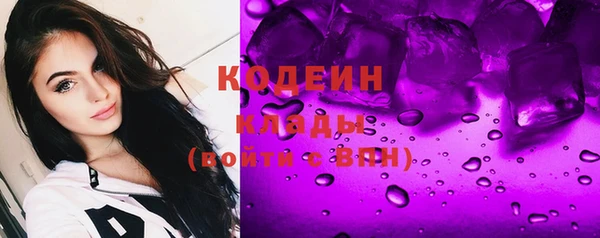 прущие грибы Алзамай