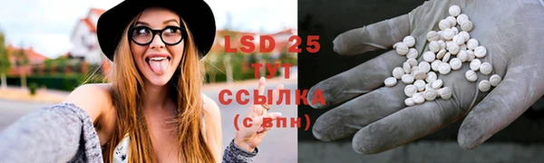 прущие грибы Алзамай