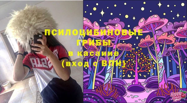 стаф Алексеевка